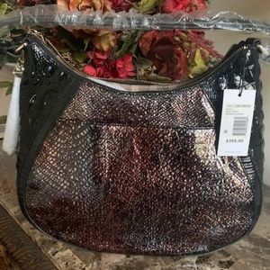 Brahmin  Amira Multi Florin